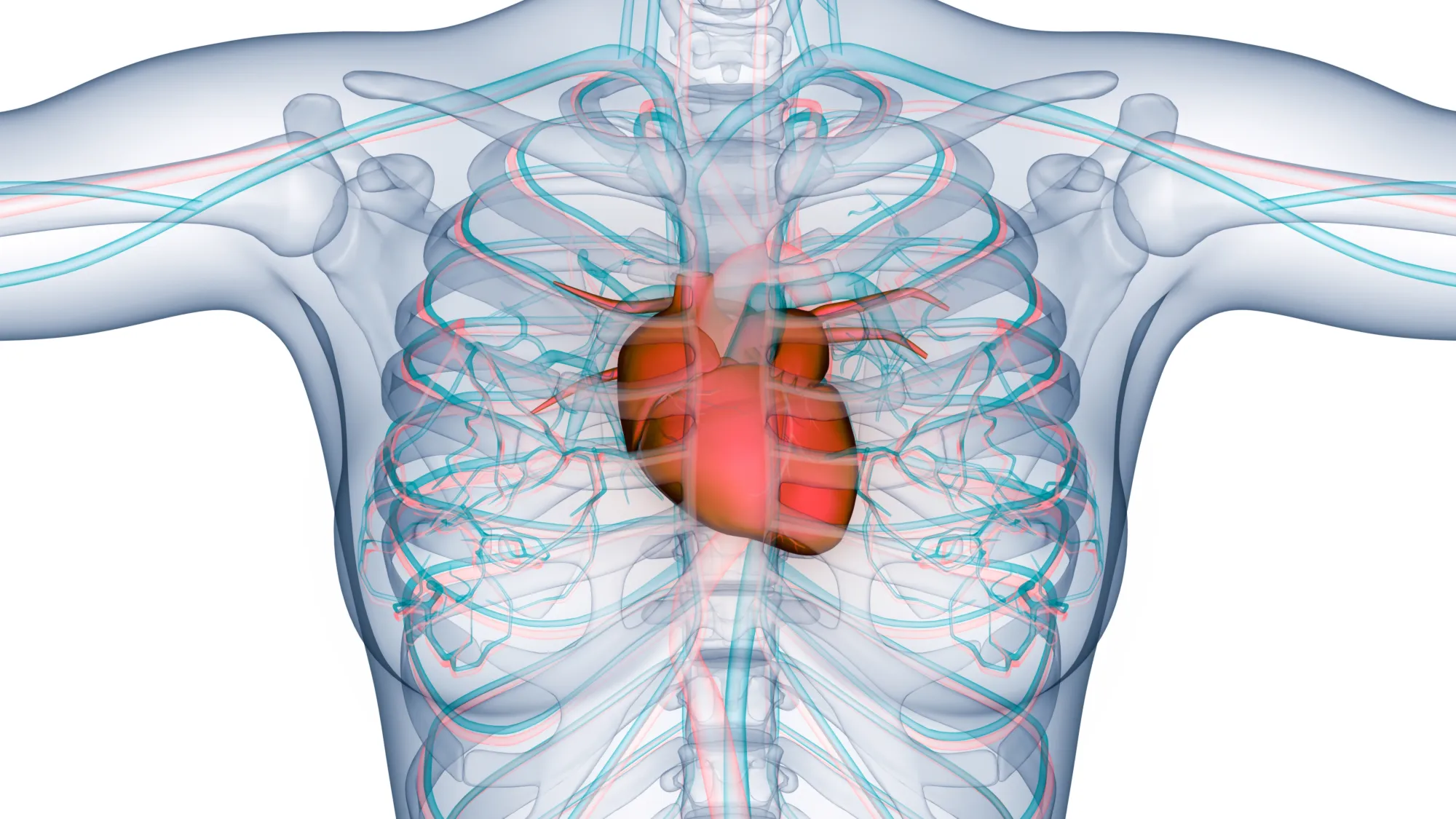 Online onderwijs circulatie icu.nl